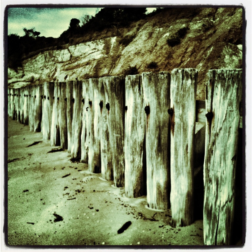 My photo of beach fence posts