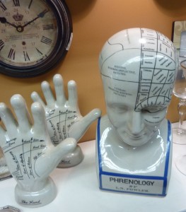Phrenology head $49.95 and palm-reading hand $28