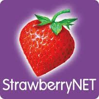 Strawberry Net