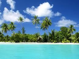 Tropical paradise